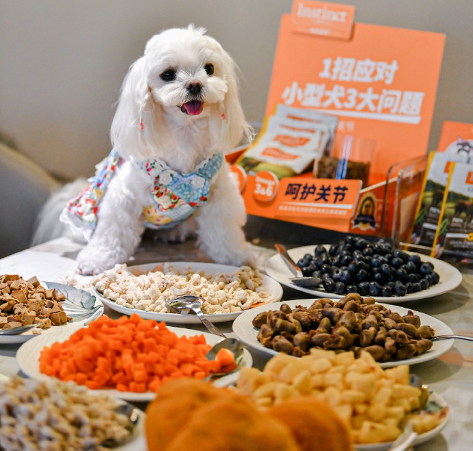 How to Choose the Best Dog Food for Your Pup: A Comprehensive Guide for Pet Owners